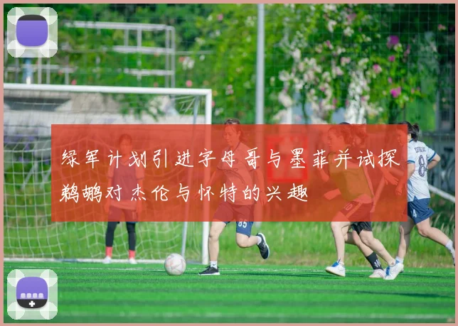 绿军计划引进字母哥与墨菲并试探鹈鹕对杰伦与怀特的兴趣