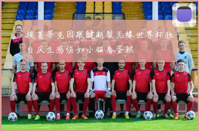 埃基蒂克因跟腱断裂无缘世界杯独自庆生感伤如小猫看蛋糕