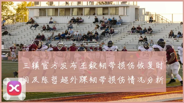三镇官方发布王毅韧带损伤恢复时间及陈哲超外踝韧带损伤情况分析
